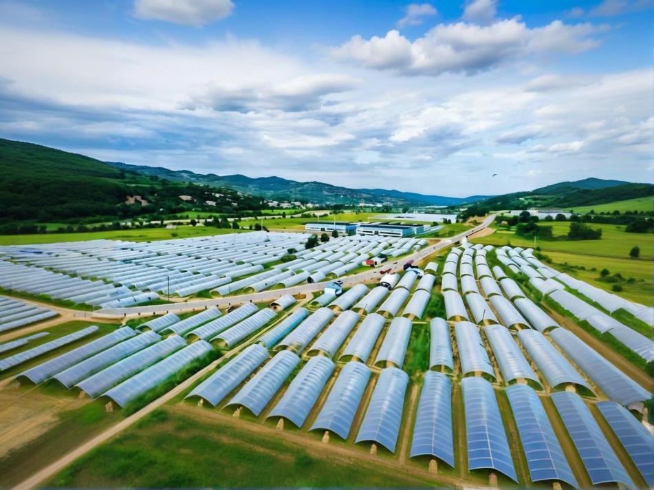 農藥殘留檢測儀走進蔬菜基地，萊恩德檢測儀助力壽光市蔬菜安全